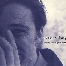 Brother Rabbit Speaks / Rain mp3 Artist Compilation by Peter Mulvey