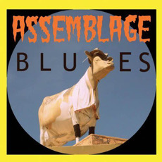 Assemblage Blues mp3 Album by Dan Melchior
