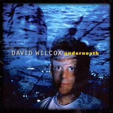 Underneath mp3 Album by David Wilcox