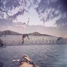 Reverie mp3 Album by David Wilcox