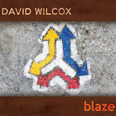 blaze mp3 Album by David Wilcox