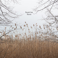 Raven mp3 Album by Paula Cole