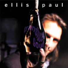 Translucent Soul mp3 Album by Ellis Paul
