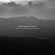 Suffocating in the Swarm of Cranes mp3 Album by Downfall of Gaia