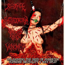 Unleashing the Seed of Parricide mp3 Compilation by Various Artists