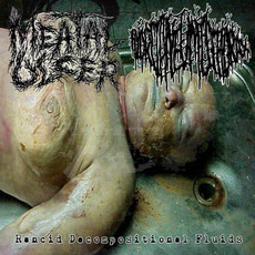 Meatal Ulcer / Hydropneumothorax mp3 Compilation by Various Artists