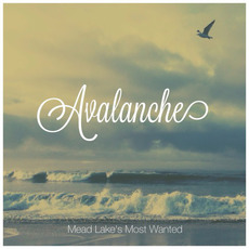 Avalanche mp3 Album by Mead Lake's Most Wanted