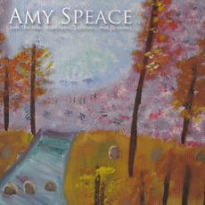 Into The New: Alternatives, Leftovers, And Orphans mp3 Album by Amy Speace
