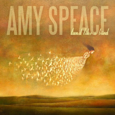 Land Like a Bird mp3 Album by Amy Speace