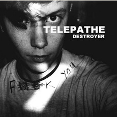 Destroyer mp3 Album by Telepathe