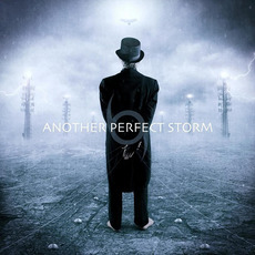 Another Perfect Storm mp3 Album by Another Perfect Storm