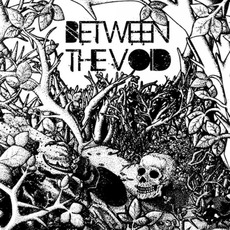 Between The Void mp3 Album by Between The Void