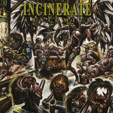Anatomize mp3 Album by Incinerate