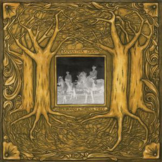 Under Branch & Thorn & Tree mp3 Album by Samantha Crain