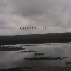 Touch of the Abyss mp3 Album by Glowing Flesh