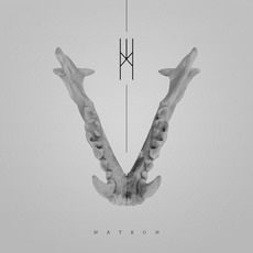 Natron mp3 Album by C R O W N