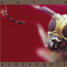 Scavengers (US Edition) mp3 Album by Calla