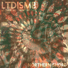 Northern Shore mp3 Album by Lo' There Do I See my Brother
