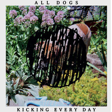 Kicking Every Day mp3 Album by All Dogs