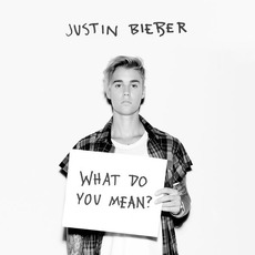 What Do You Mean? mp3 Single by Justin Bieber