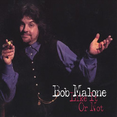 Like It or Not mp3 Album by Bob Malone