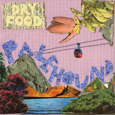 Dry Food mp3 Album by Palehound