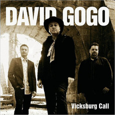 Vicksburg Call mp3 Album by David Gogo