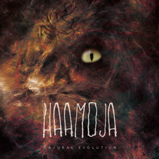 Natural Evolution mp3 Album by Haamoja