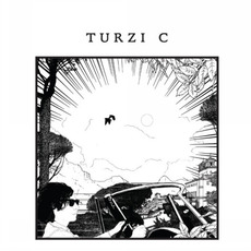 C mp3 Album by Turzi