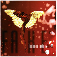 Fake mp3 Album by Beborn Beton
