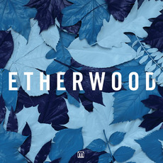 Blue Leaves mp3 Album by Etherwood