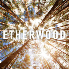 Etherwood mp3 Album by Etherwood