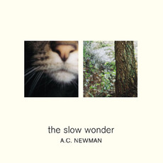 The Slow Wonder mp3 Album by A.C. Newman