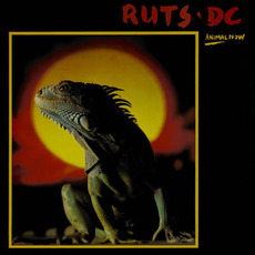 Animal Now (Remastered) mp3 Album by Ruts DC