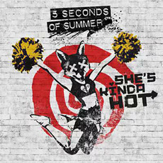 She's Kinda Hot mp3 Album by 5 Seconds Of Summer