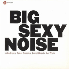 Big Sexy Noise mp3 Album by Big Sexy Noise