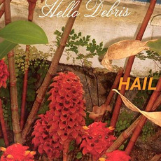 Hello Debris mp3 Album by Hail