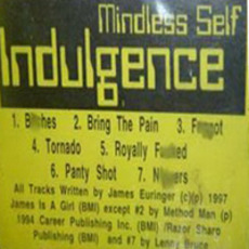 Crappy Little Demo mp3 Album by Mindless Self Indulgence