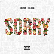 Sorry mp3 Single by Rick Ross