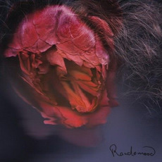Randomood mp3 Album by Panjabys