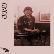 SLT mp3 Album by Gnod