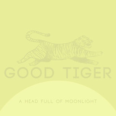 A Head Full of Moonlight mp3 Album by Good Tiger