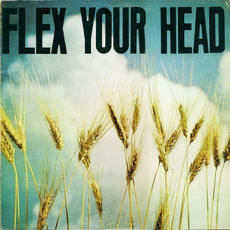 Flex Your Head (Remastered) mp3 Compilation by Various Artists