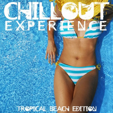 Chillout Experience mp3 Compilation by Various Artists