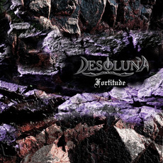 Fortitude mp3 Album by Desoluna