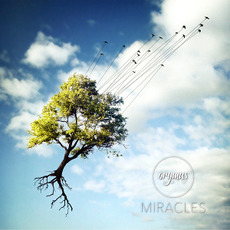 Miracles mp3 Album by Orymus