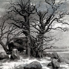 The Celtic Winter mp3 Album by Graveland