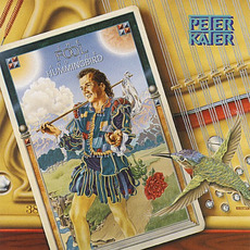 The Fool and the Hummingbird mp3 Album by Peter Kater