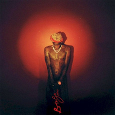 Barter 6 mp3 Album by Young Thug