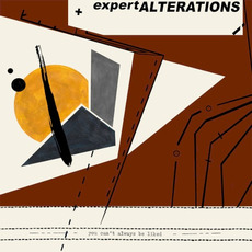 You Can't Always Be Liked mp3 Album by Expert Alterations